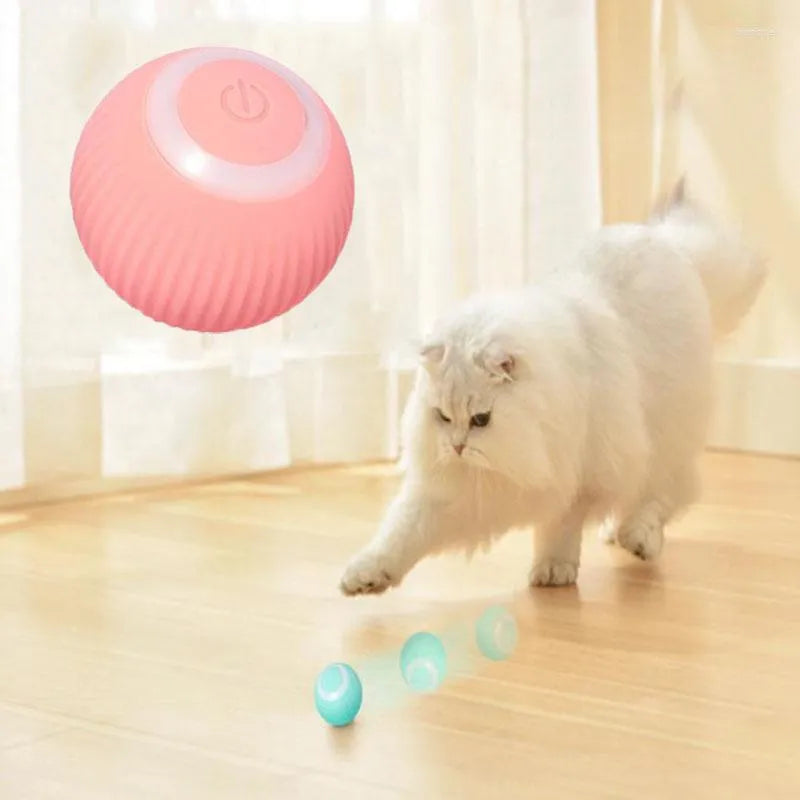 Cat Interactive Ball