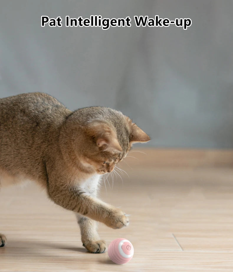 Cat Interactive Ball