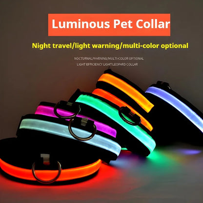 Dog Collar Nylon LED Night