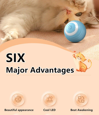 Cat Interactive Ball