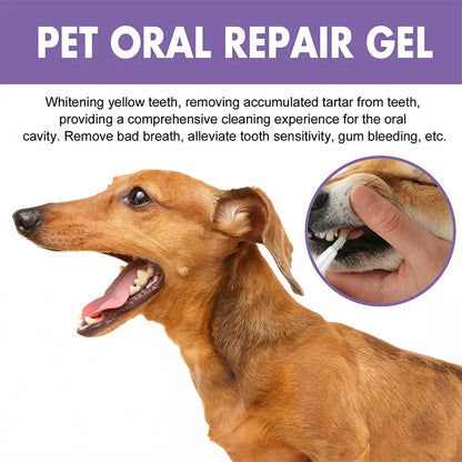 Pet Teeth Cleaning Tooth Whitening Pen