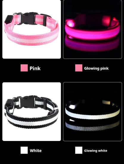 Dog Collar Nylon LED Night