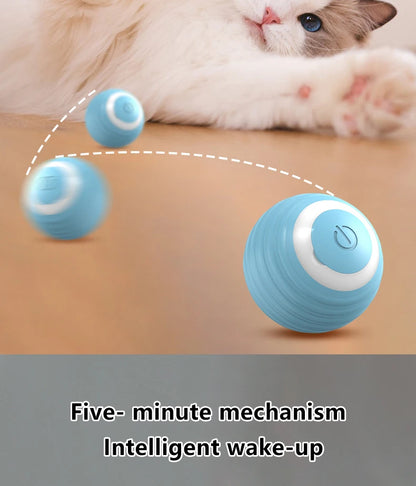 Cat Interactive Ball