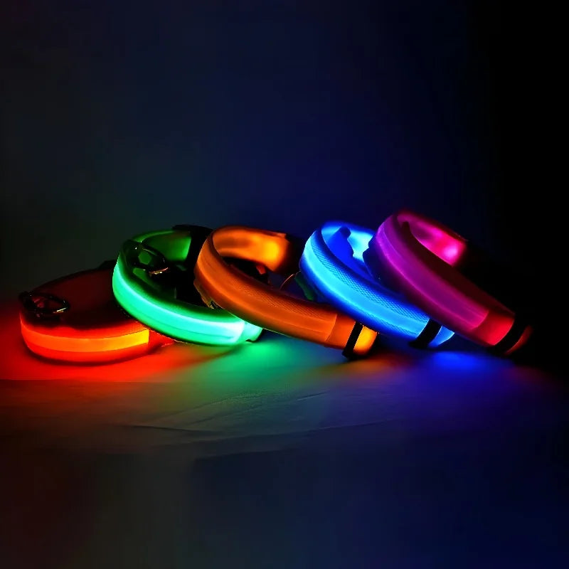 Dog Collar Nylon LED Night