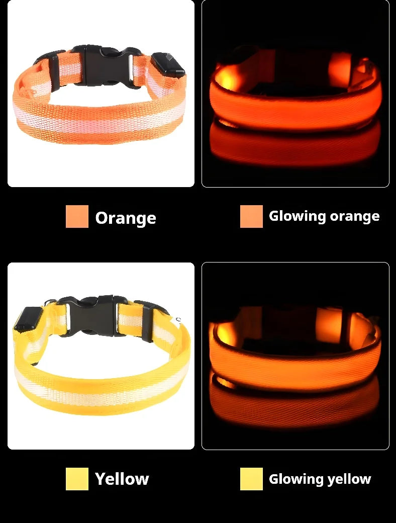 Dog Collar Nylon LED Night