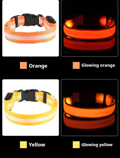 Dog Collar Nylon LED Night