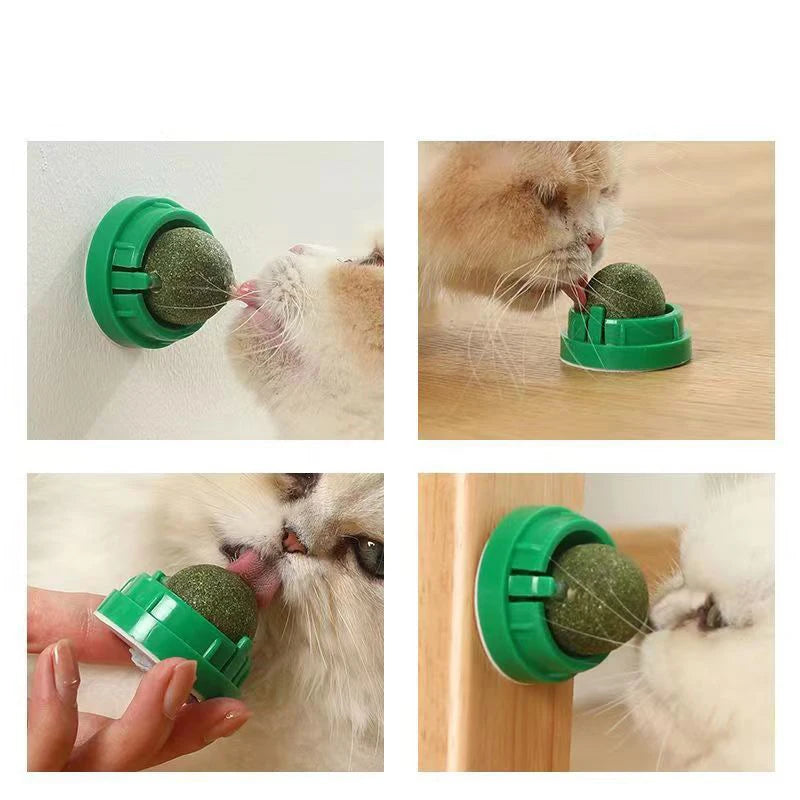 The Catnip Cat Wall Stick-on Ball