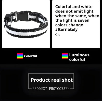 Dog Collar Nylon LED Night