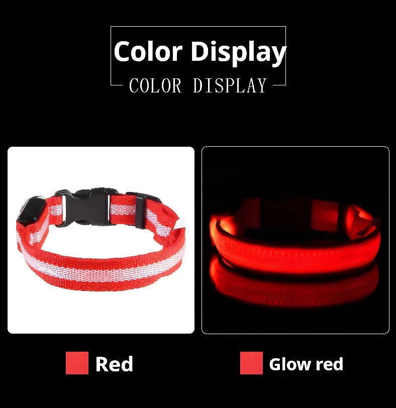 Dog Collar Nylon LED Night