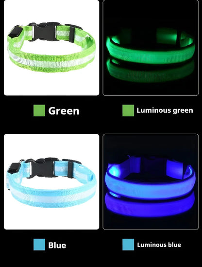 Dog Collar Nylon LED Night