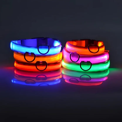 Dog Collar Nylon LED Night