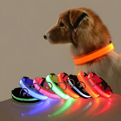 Dog Collar Nylon LED Night