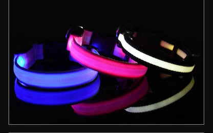 Dog Collar Nylon LED Night