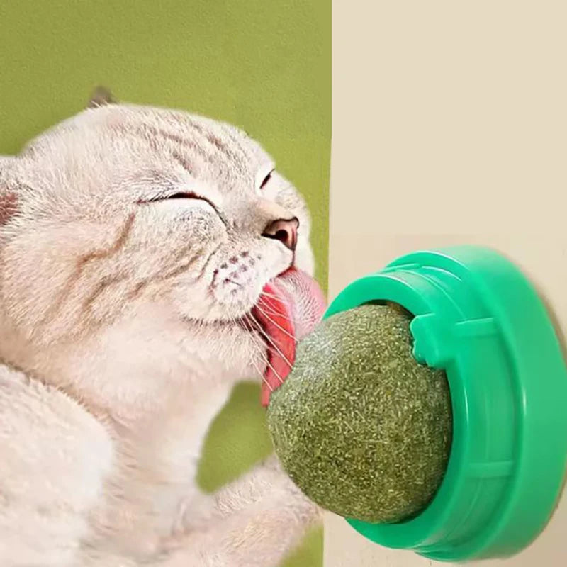 The Catnip Cat Wall Stick-on Ball