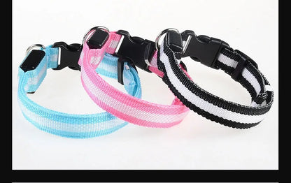 Dog Collar Nylon LED Night