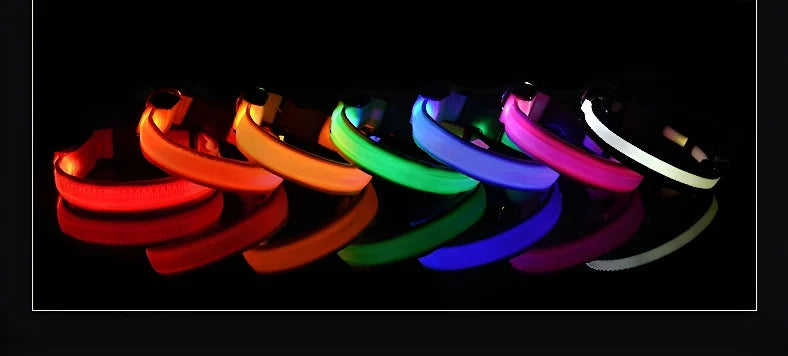 Dog Collar Nylon LED Night