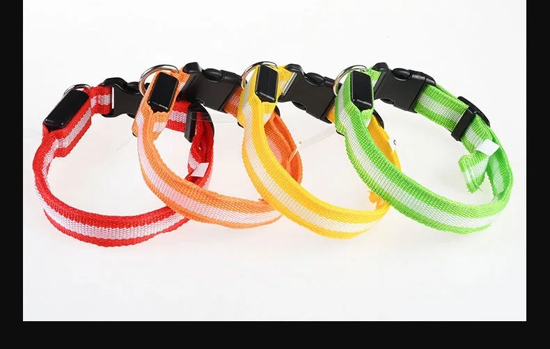 Dog Collar Nylon LED Night